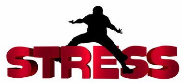 爱体育娱乐入口-NBA球员心理压力识别及干预技术研究，nba球员性格问题