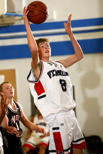 爱游戏全站-中国篮球青少年篮球发展区域差异及均衡发展研究，全国青少年篮球特色