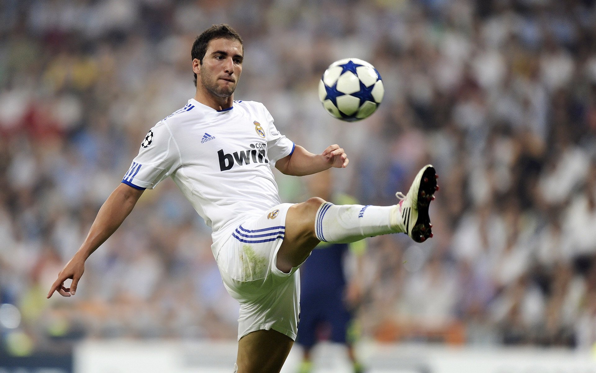 亚冠联赛中国青年队战胜 球迷热烈支持，中国队亚青赛冠军